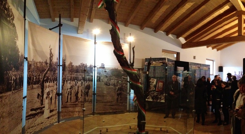 8602327607 b277eea9d4 k Msols